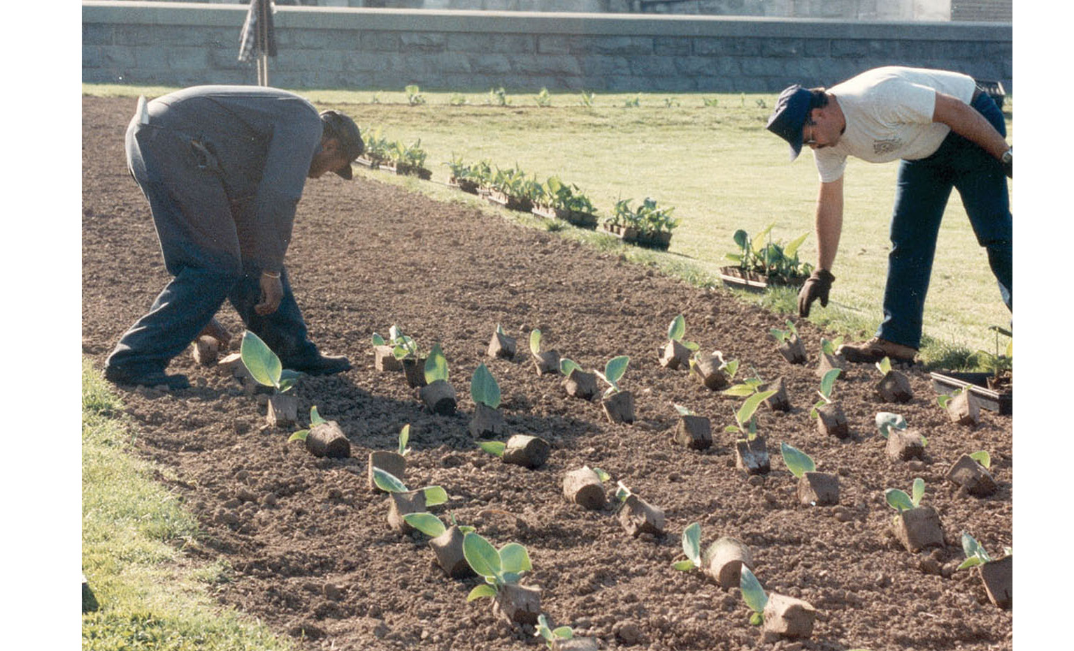 3_S24_Plant_64891