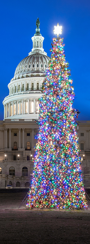 The Capitol Christmas Tree, 2021.<br>Architect of the Capitol