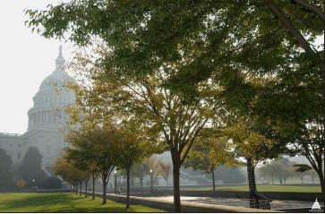 U.S. Capitol