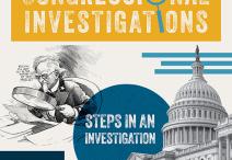 Steps in the investigation graphic