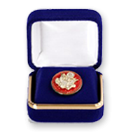 Gift shop pin